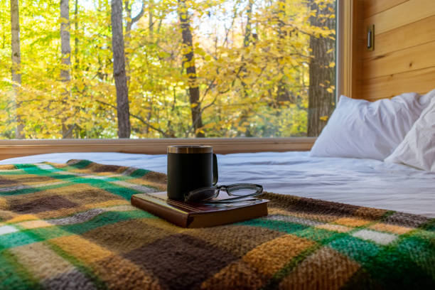 istock Book and coffee on a cozy bed in a rustic cabin 2166802299