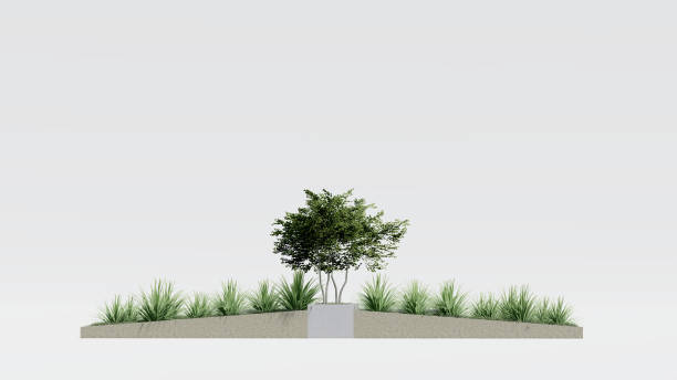 istock architecture garden park landscape terrace nature design modern 3d render. 2166802417
