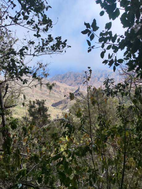 istock Trekking in Anaga, Tenerife 2166802612