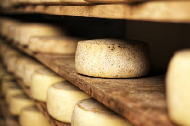 istock Cheese production in Italy, cheese rounds 2166806133