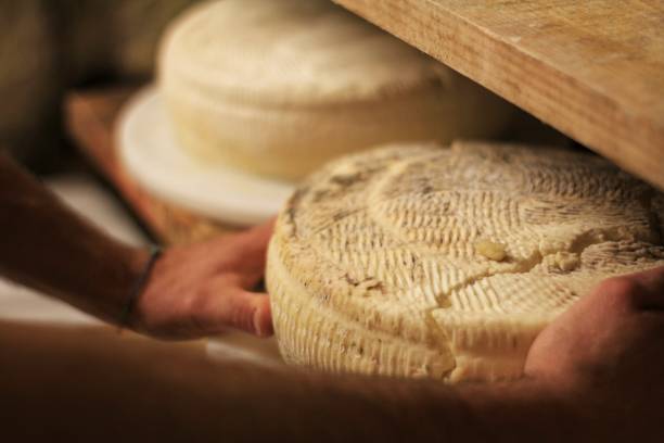 Cheese production in Italy, cheese rounds