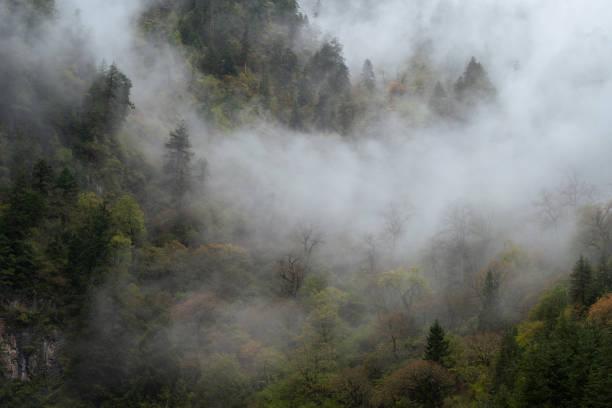 Bipenggou scenery in Li County, Aba Prefecture, Sichuan, China