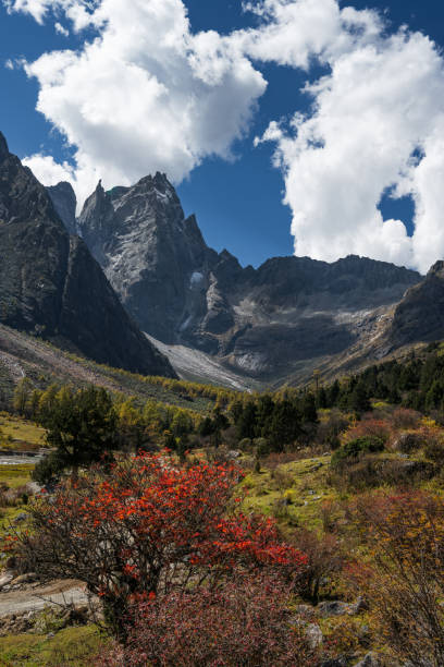 Bipenggou scenery in Li County, Aba Prefecture, Sichuan, China