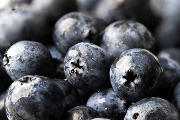 istock Close up of Blueberries fruit texture, macro background 2166810445