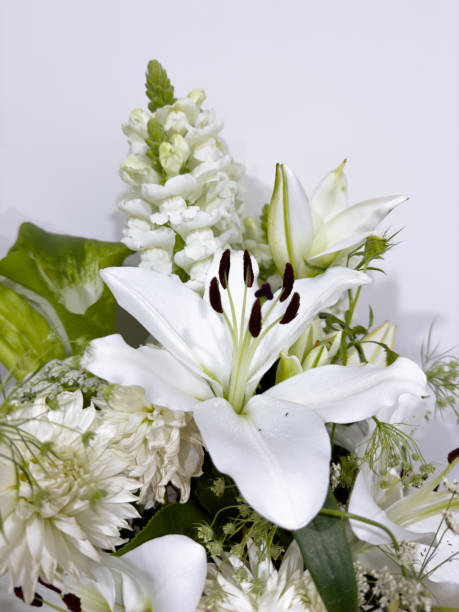 istock Elegant White Lily Blossoms in Full Bloom. Bouquet 2166811930