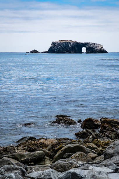 istock Arch Rock off the Coast of Sonoma County 2166812321