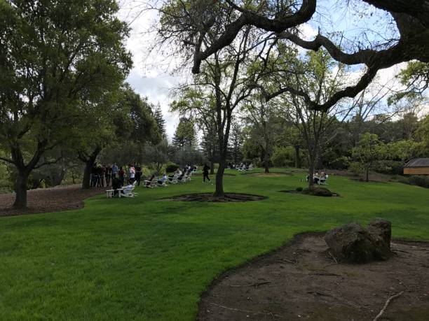 istock Lawn in the park 2166822725