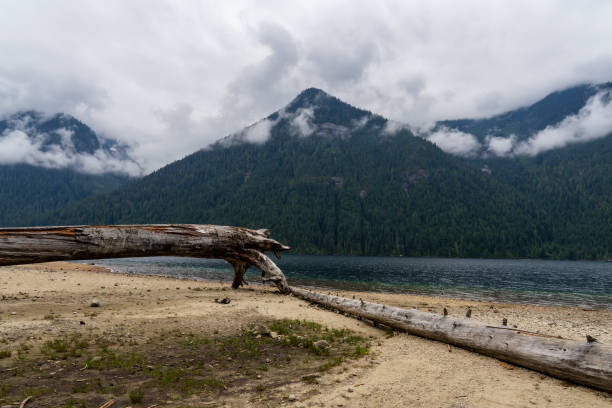 istock Chilliwack lake provincial park 2166822813