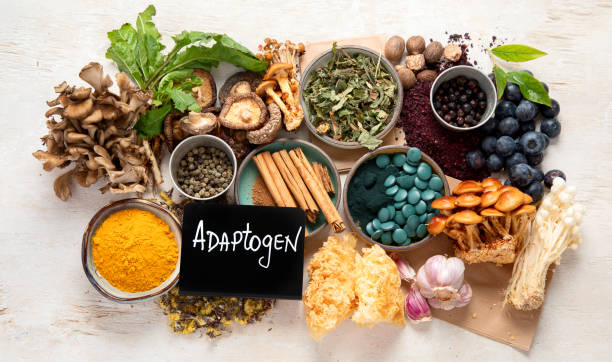 istock Adaptogen healthy food. Herb and spice collection on light background 2166825629