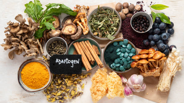 istock Adaptogen healthy food. Herb and spice collection on light background 2166825972