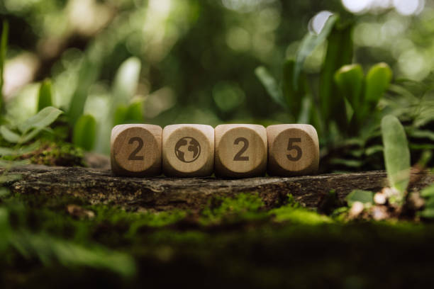 istock Wooden cube 2025 in forest. 2166828610