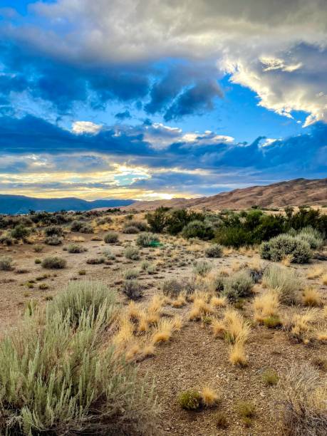 August - Washoe County Northern Nevada - Evening Light With Clouds - High Desert Landscape - August nevada landscape stock pictures, royalty-free photos & images