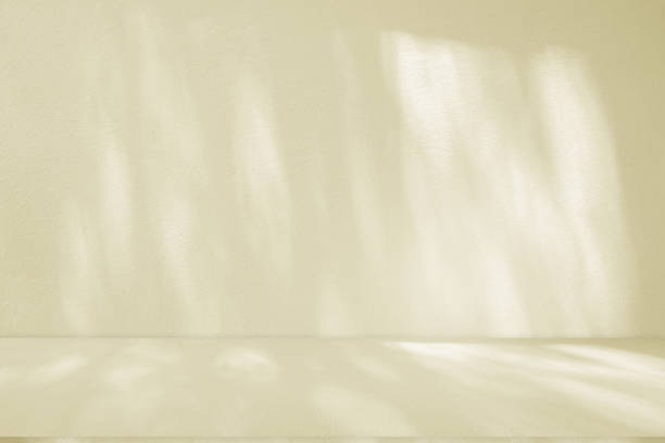 istock Studio style background wall decoration presentation uses white and beige tones. with shadows cast from a nearby window, concept creating a decorative 2166829429