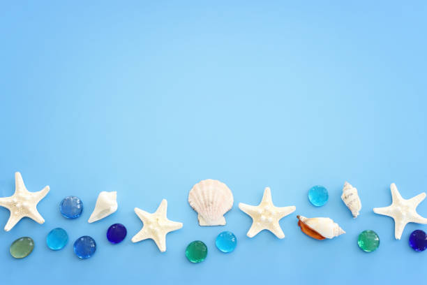 istock nautical concept with starfish and seashells over blue background 2166830339