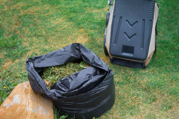 istock trimmed grass and a grass catcher 2166831134