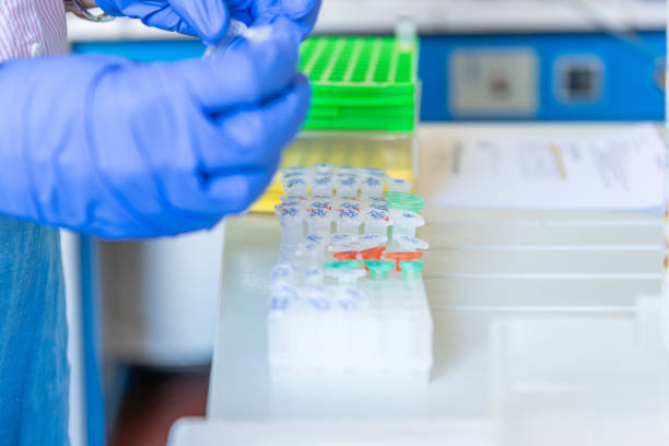 istock Plastic rack with eppendorf test tubes in a laboratory setting. Some equipment in the background. A person with blue nitril gloves is standing next to the bench. 2166831569
