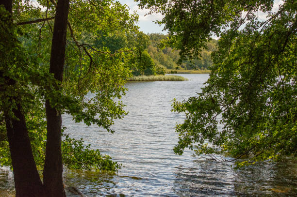 istock August 2024, Nature - Southern Sweden 2166832046