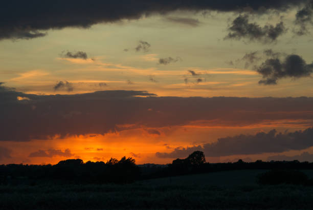 Golden orange sunset over wild meadow of grass and flowers
