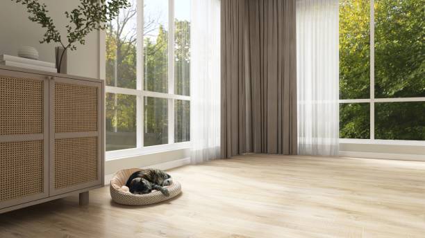 istock Empty room with double layer curtain, brown blackout and white sheer curtain, a cat sleeping in sunlight from backyard with trees on laminated parquet floor 2166833454