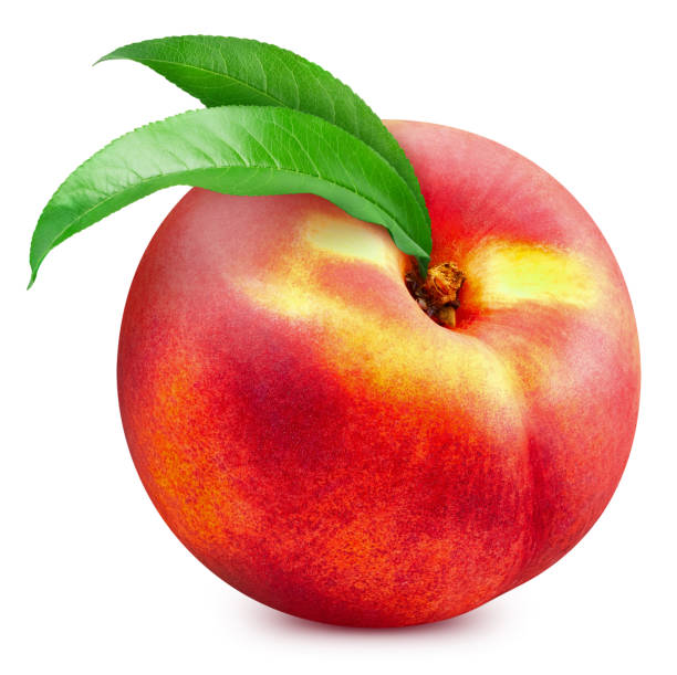 istock Fresh organic peach with leaves isolated clipping path 2166837589