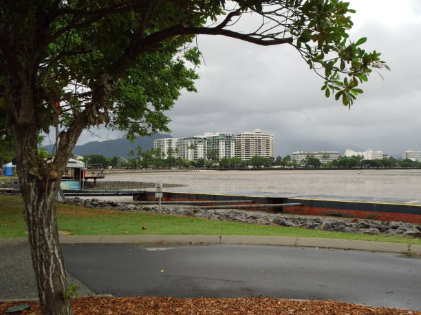 Green cityscape of Cairns