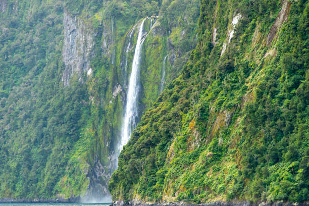istock Stirling Falls in Milford Sound 2166838393