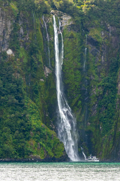 istock Stirling Falls in Milford Sound 2166838418