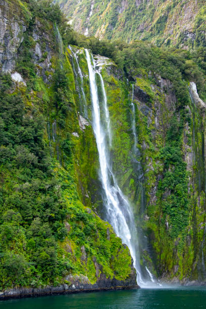 istock Stirling Falls in Milford Sound 2166838475