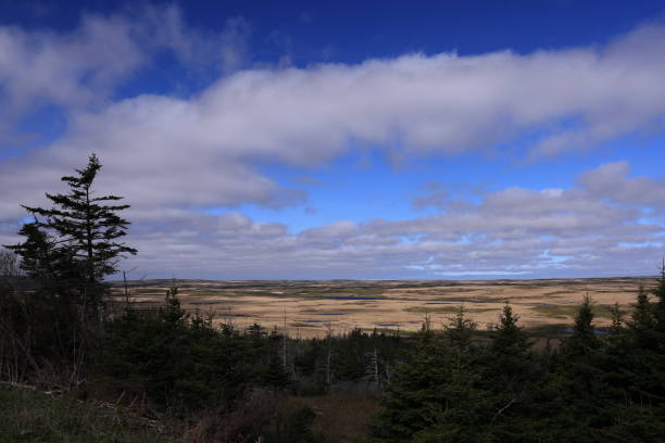 istock Landscape on Avalon Peninsula in Newfoundland, Canada 2166840648