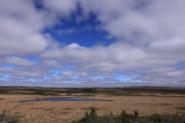 istock Landscape on Avalon Peninsula in Newfoundland, Canada 2166840649