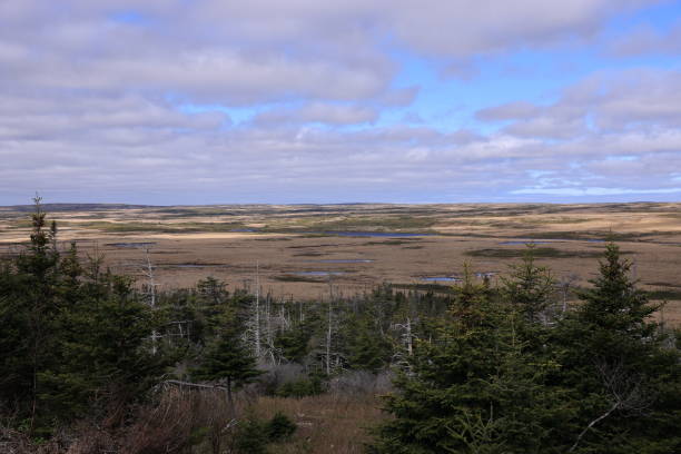 Landscape on Avalon Peninsula in Newfoundland, Canada