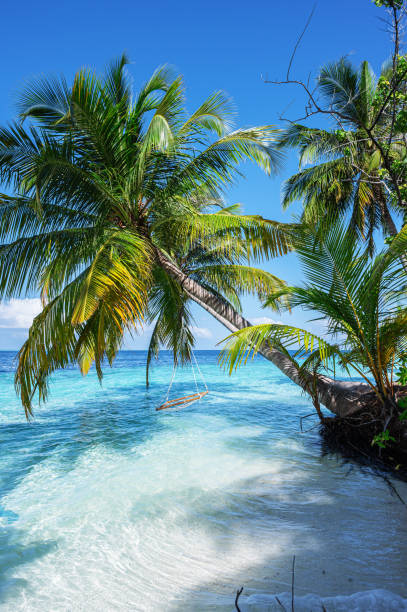 istock Tropical paradise beach in the Maldives Islands 2166840697