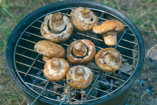 istock Champignons are fried on a small camping grill. 2166843005