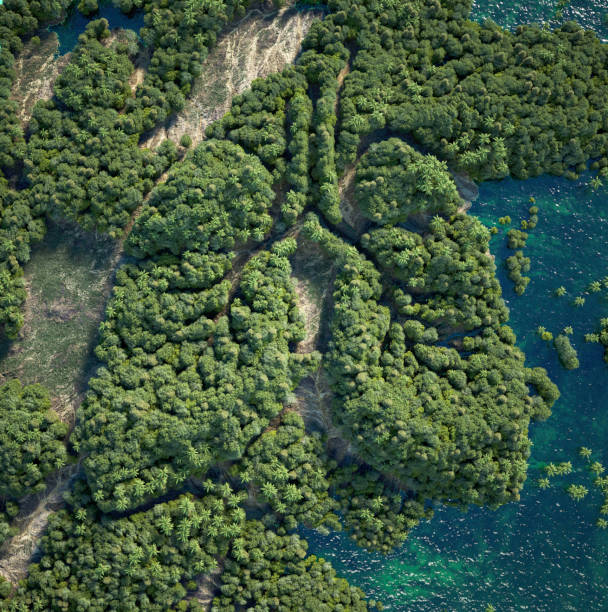istock Aerial view of a forested mountain shaped like a lung 2166845869
