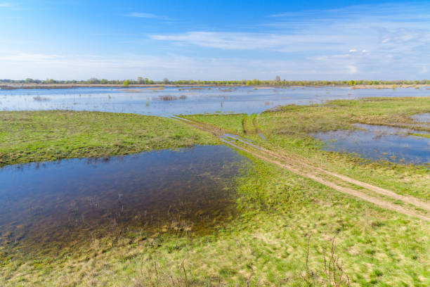 Flooded area near Dnieper River in spring
