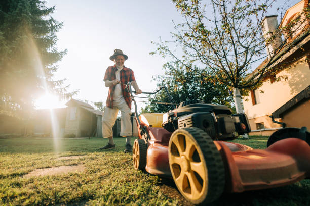 istock Senior man mowing the lawn. 2166847935