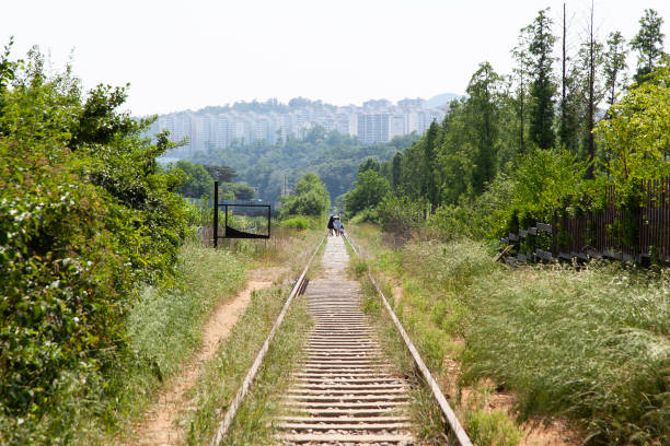 rural landscape