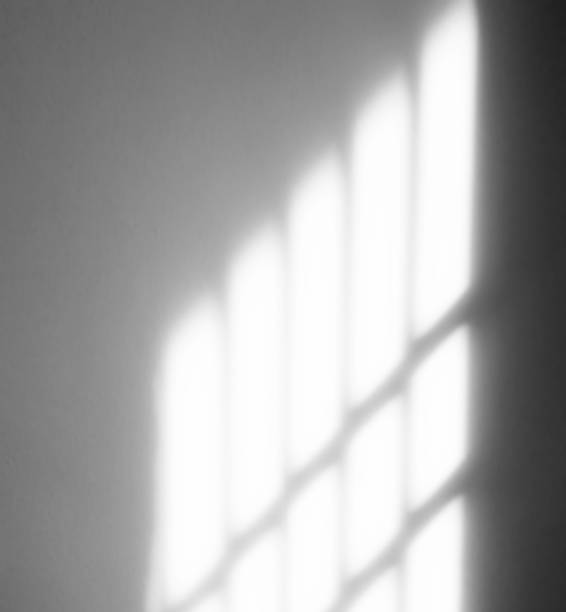 istock Shadow light summer background sunight overlay nature on room cement wall floor abstract blur muckup effect grey minimal platform for presentation product backdrop, wallpaper template display. 2166852032