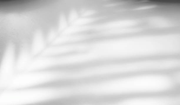 istock Shadow light summer background sunight overlay nature on room cement wall floor abstract blur muckup effect grey minimal platform for presentation product backdrop, wallpaper template display. 2166852113