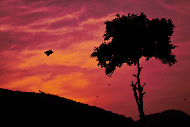 As the sun sets behind the mountains, the sky is painted in vivid hues of red and orange. Against this dramatic backdrop, kites flutter gracefully, their vibrant colors adding a dynamic contrast to the tranquil evening scene. The interplay of the fiery sky and the soaring kites creates a captivating display of freedom and beauty.
