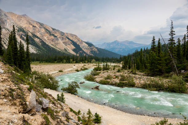 istock Mountain Glacier Bow River Flows Along the Trail, Canadian Rockies, Banff, Alberta, Canada 2166856407