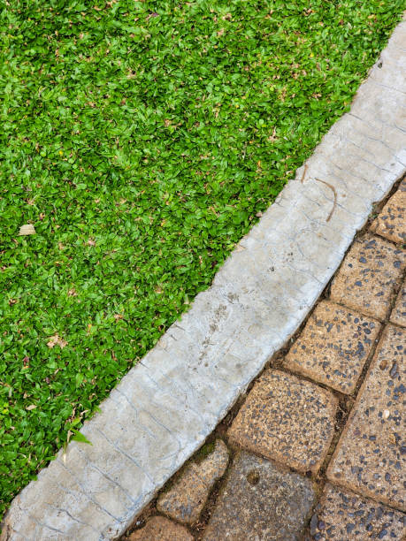 istock Grass texture beside the sidewalk in the public park 2166864518