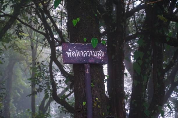 istock A sign with the word 