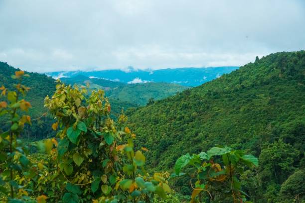 istock A lush green mountain range with a cloudy sky in the background 2166864999