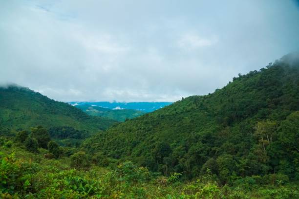istock A lush green mountain range with a cloudy sky in the background 2166865039