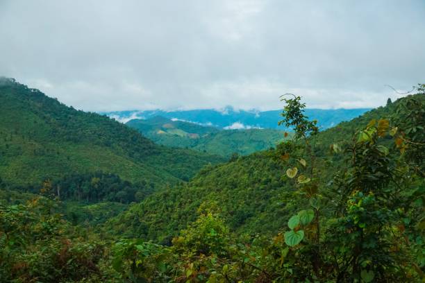 istock A mountain range with a cloudy sky and green trees 2166865414