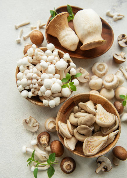 istock Assortment of various raw mushrooms 2166867462