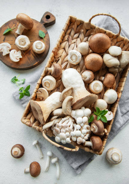 istock Assortment of various mushrooms 2166867476