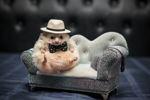 A cute hedgehog sits adorably at a luxurious party scene. Surrounded by elegant decor, sparkling lights, and delicate hors d'oeuvres, the little creature seems perfectly at ease, adding a touch of whimsy to the sophisticated atmosphere.