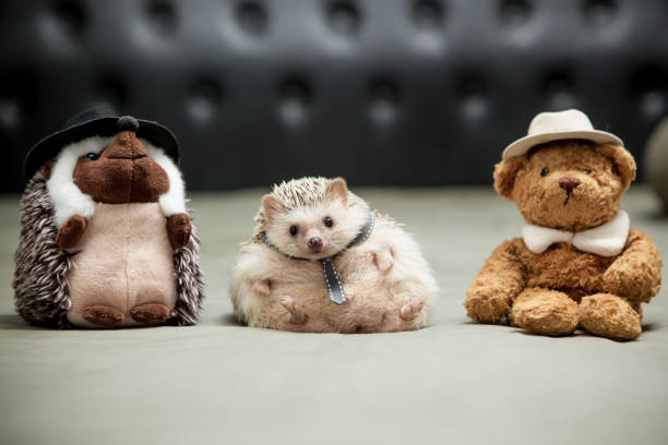 A cute hedgehog sits adorably at a luxurious party scene. Surrounded by elegant decor, sparkling lights, and delicate hors d'oeuvres, the little creature seems perfectly at ease, adding a touch of whimsy to the sophisticated atmosphere.